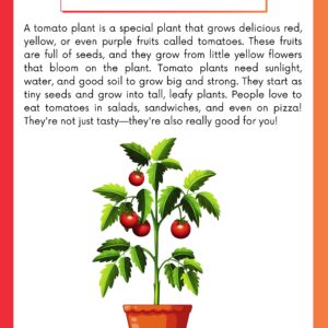 Tomato Plant Overview Printable
