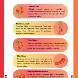 LIFE CYCLE OF A TOMATO